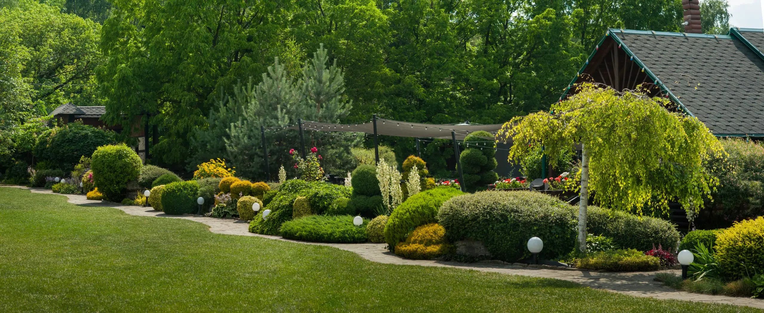Végétaux et fleurs dans un jardin aménagé