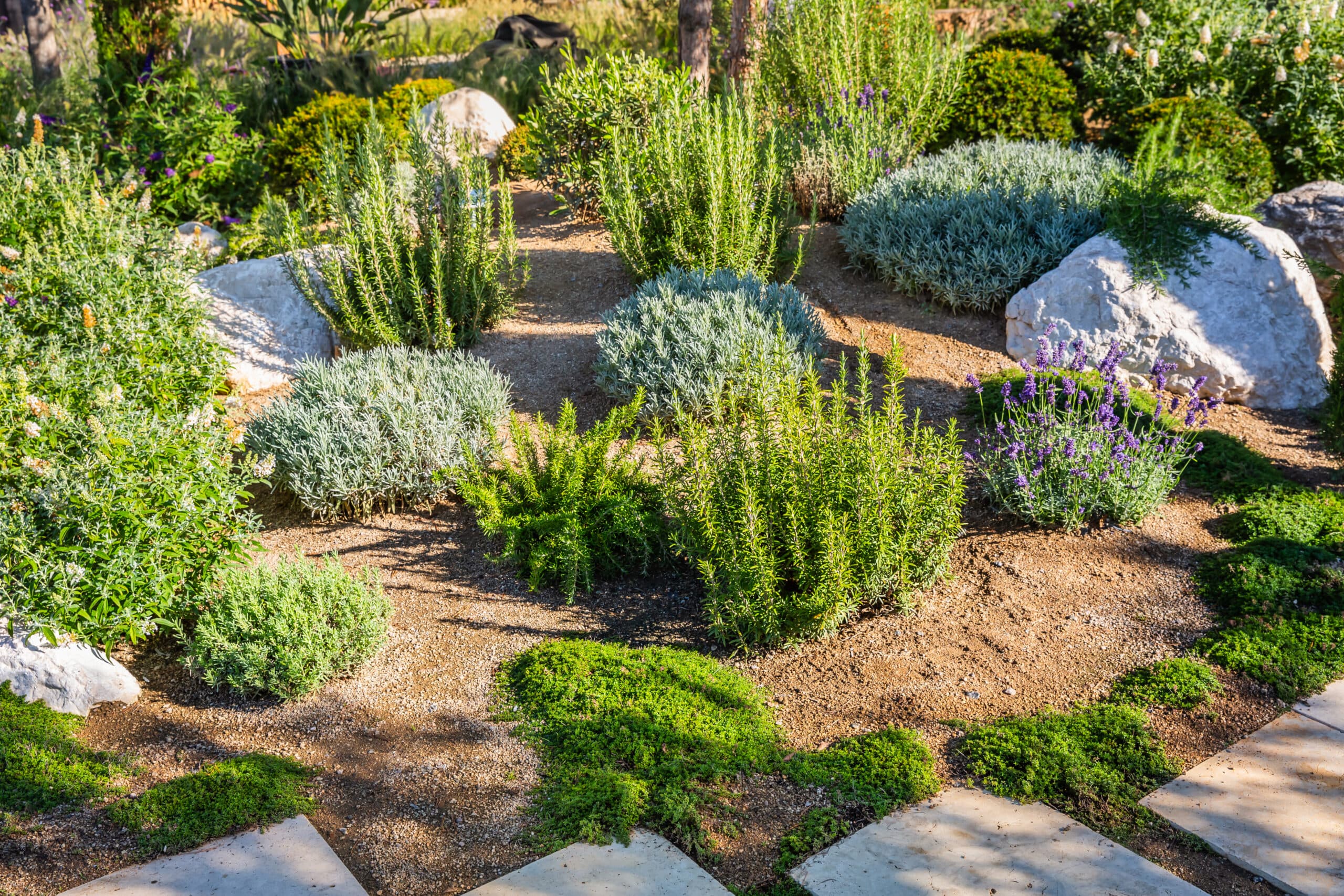 Jardin aménagé avec végétaux et pierres naturelles